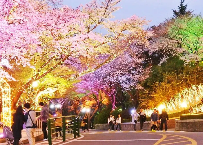 Hotel Namsan Hill 3*
